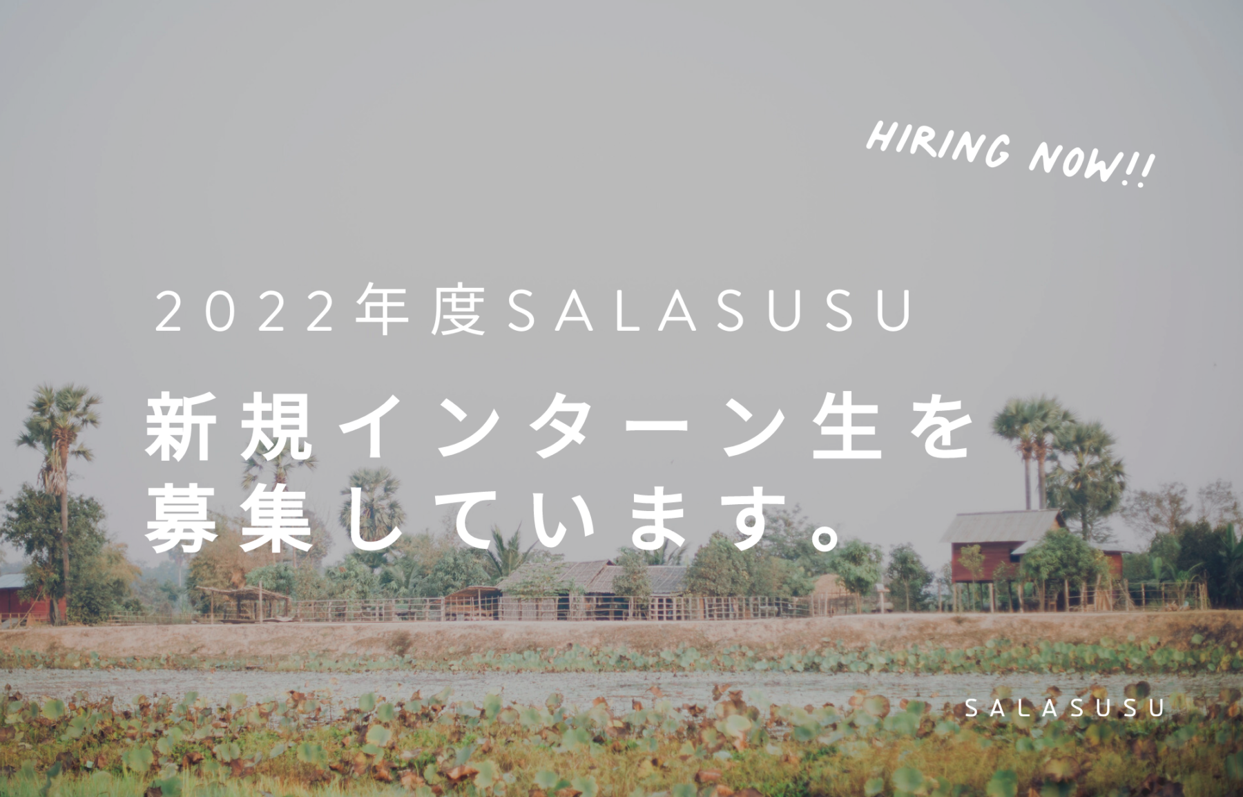 2022年度インターン生募集のお知らせ | お知らせ | SALASUSU（サラスースー）